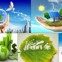 Báo cáo đánh giá tác động môi trường (ĐTM)